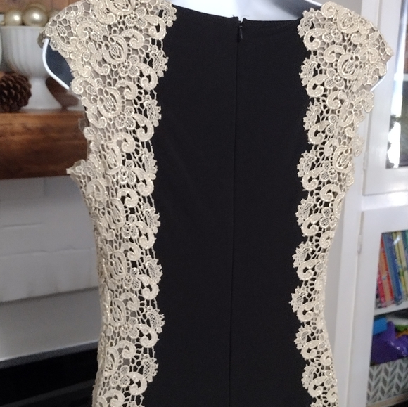Xscape Crochet Lace Column Gown - Picture 5 of 8
